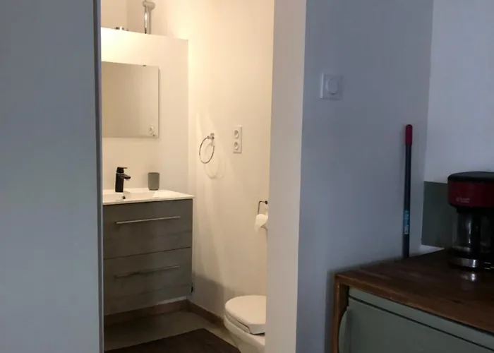 Apartament Joli - Centre Historique *